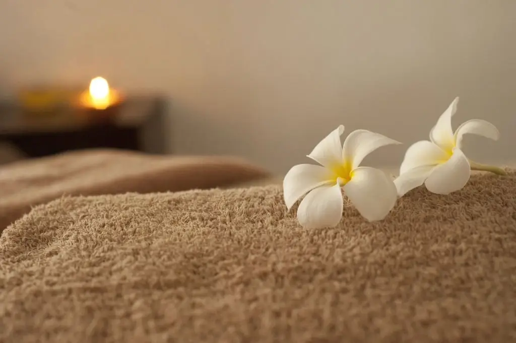 Deux fleurs blanches posées sur une serviette